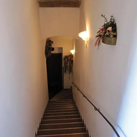 Amadeus Hotel 3*