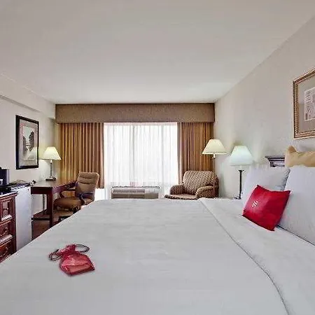 Amadeus Hotel