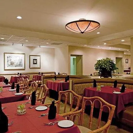 Amadeus Hotel 3*